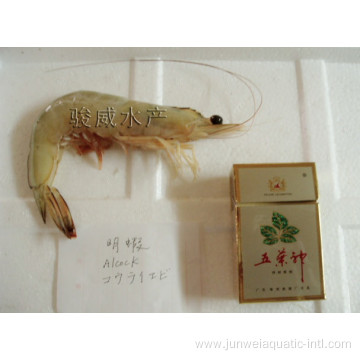 Fresh frozen alock prawn